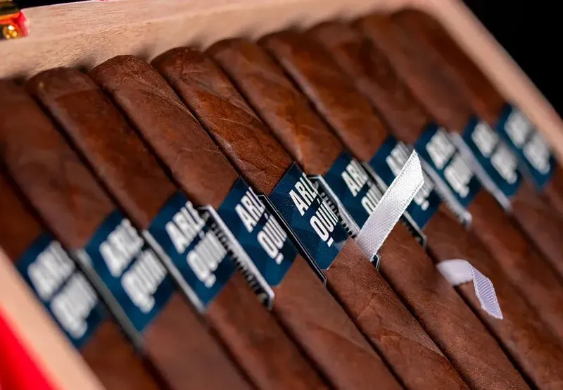 FRATELLO ARLEQUÍN ROBUSTO